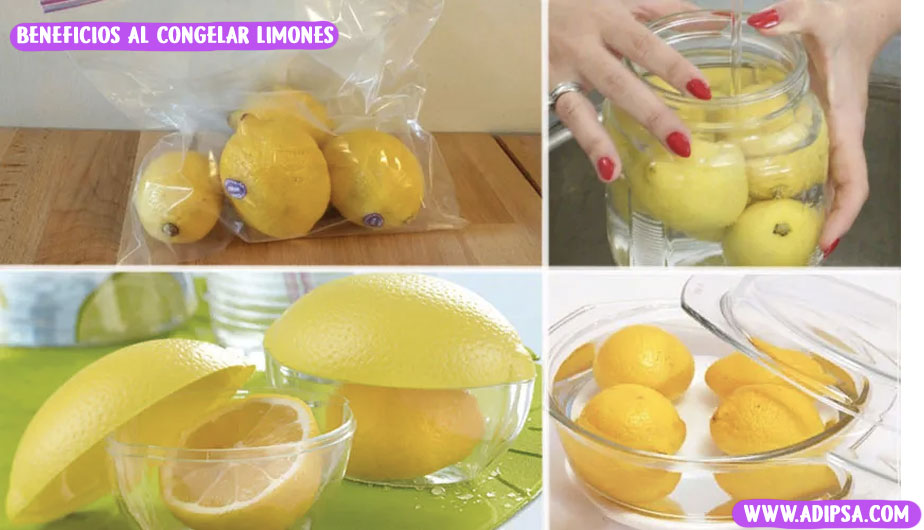 Как сохранить лимон в холодильнике. Лимон в холодильнике. Для хранения лимона. Как хранить лимон. Лимоны в пакете.